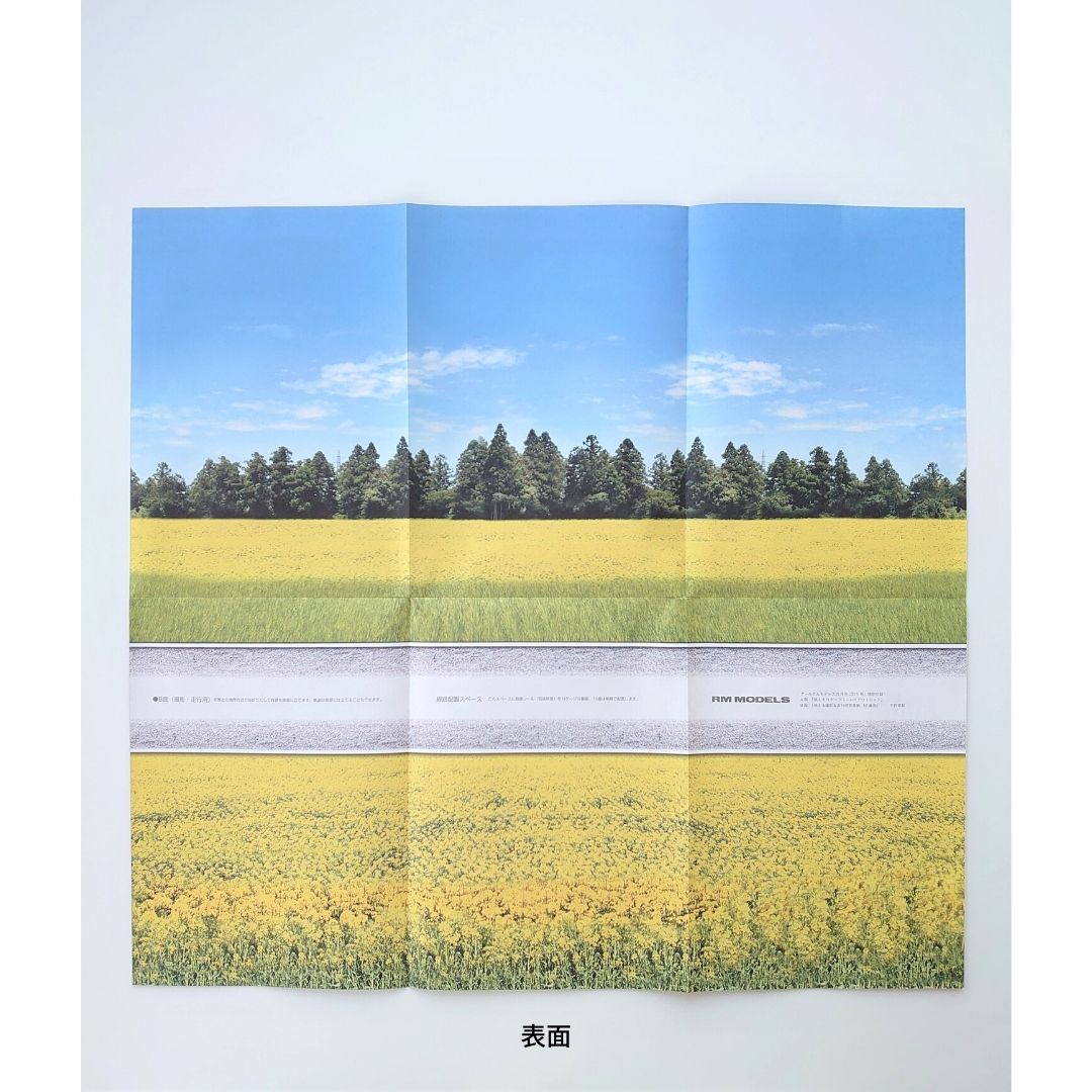 Stunning photography and driving background paper rape blossom scenery (set of 2)