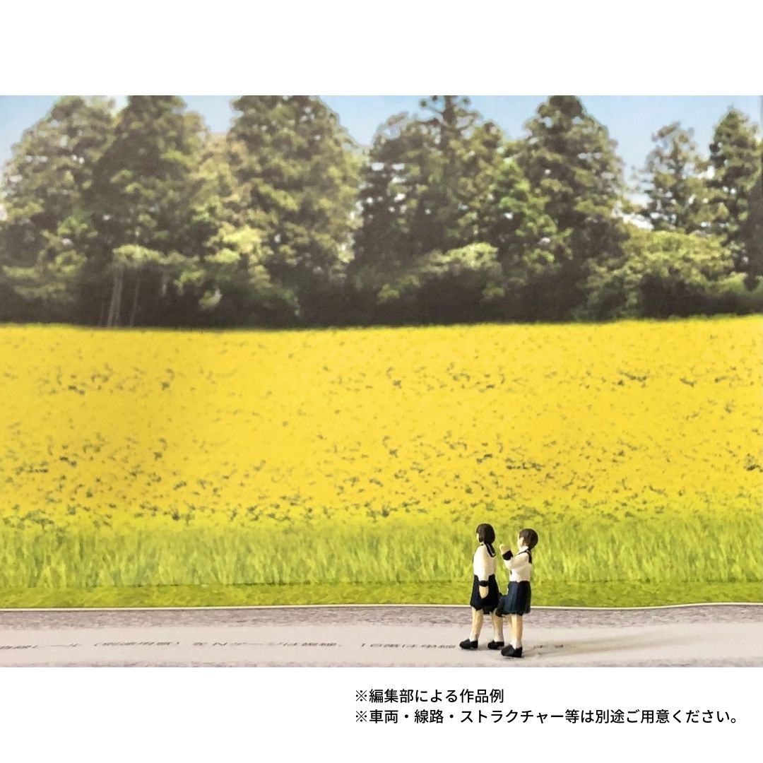 Stunning photography and driving background paper rape blossom scenery (set of 2)